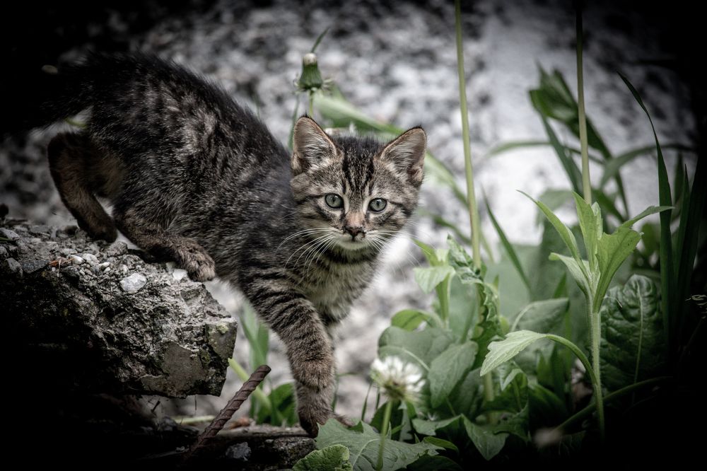 Photograph by Maksim Zhdanovich