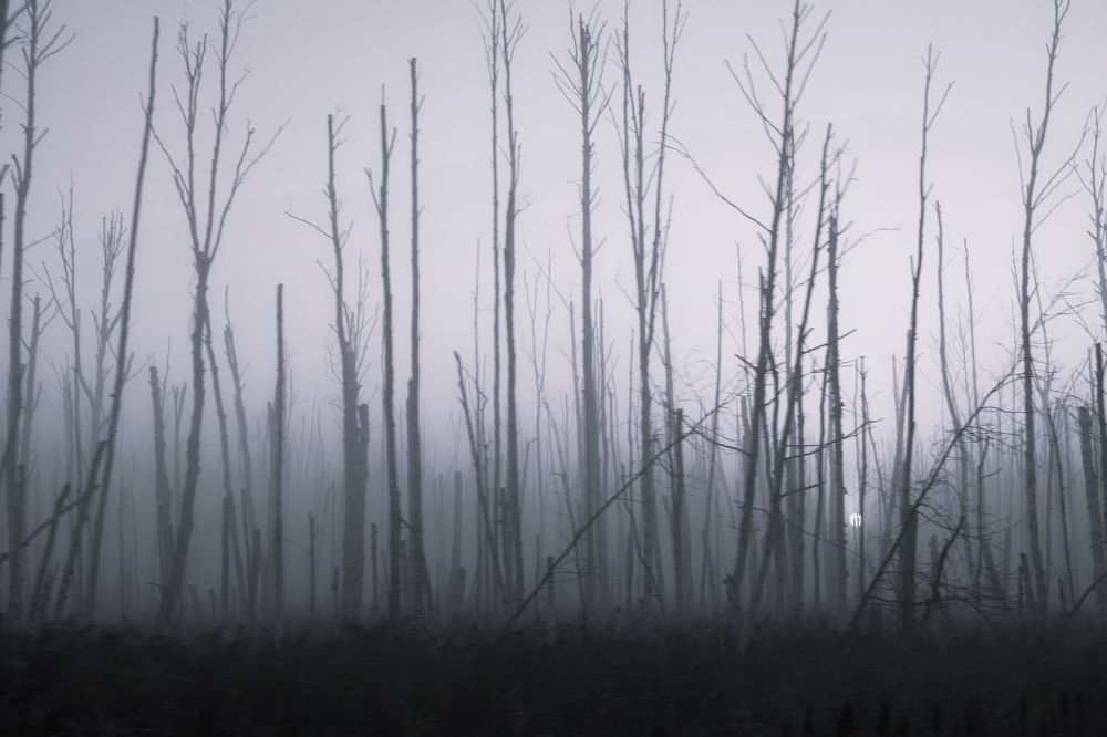 Photograph by Танзиля Завьялова