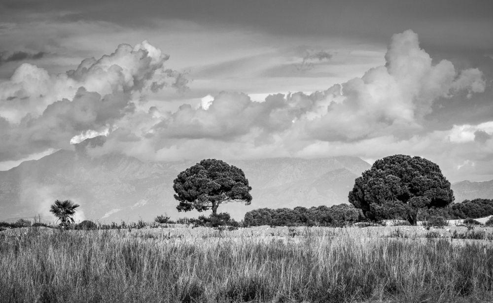 Photograph by Юлия Ковальчук