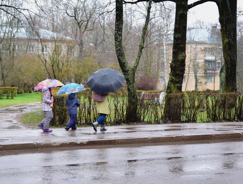 Photograph by Танзиля Завьялова