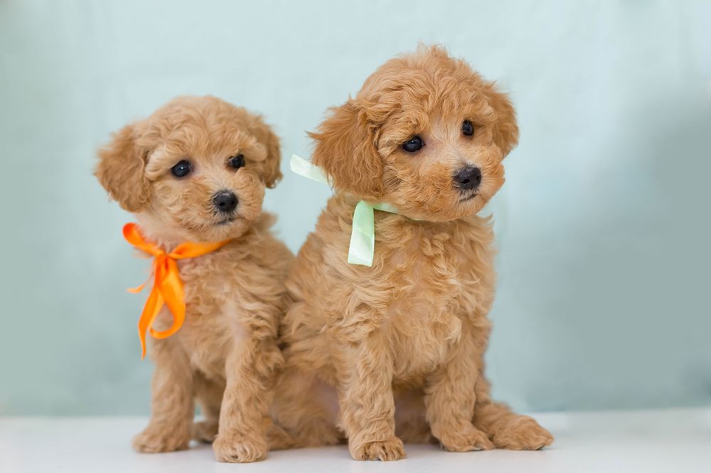 Photograph by Ирина Решетникова