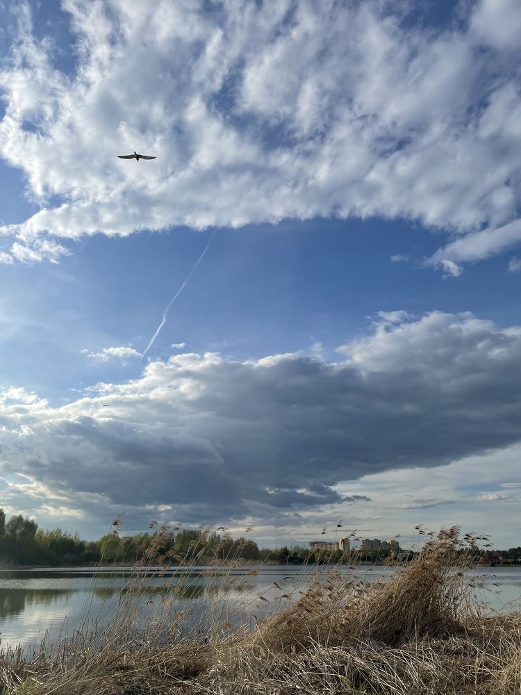 Photograph by Таня