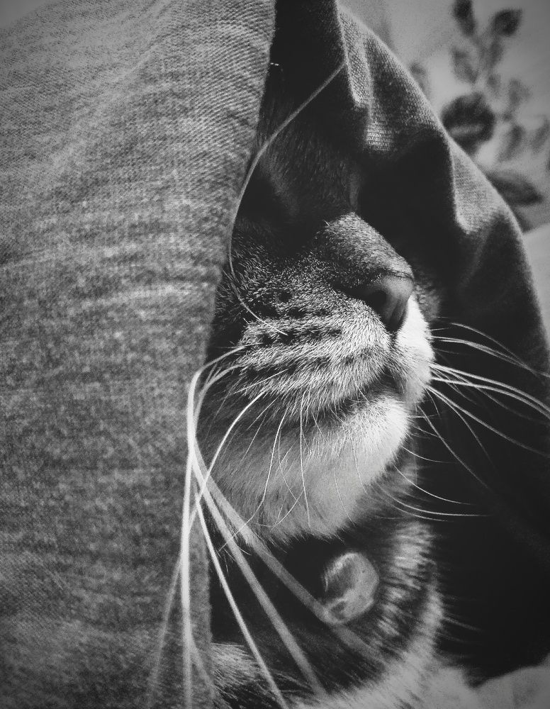 Photograph by Сергей