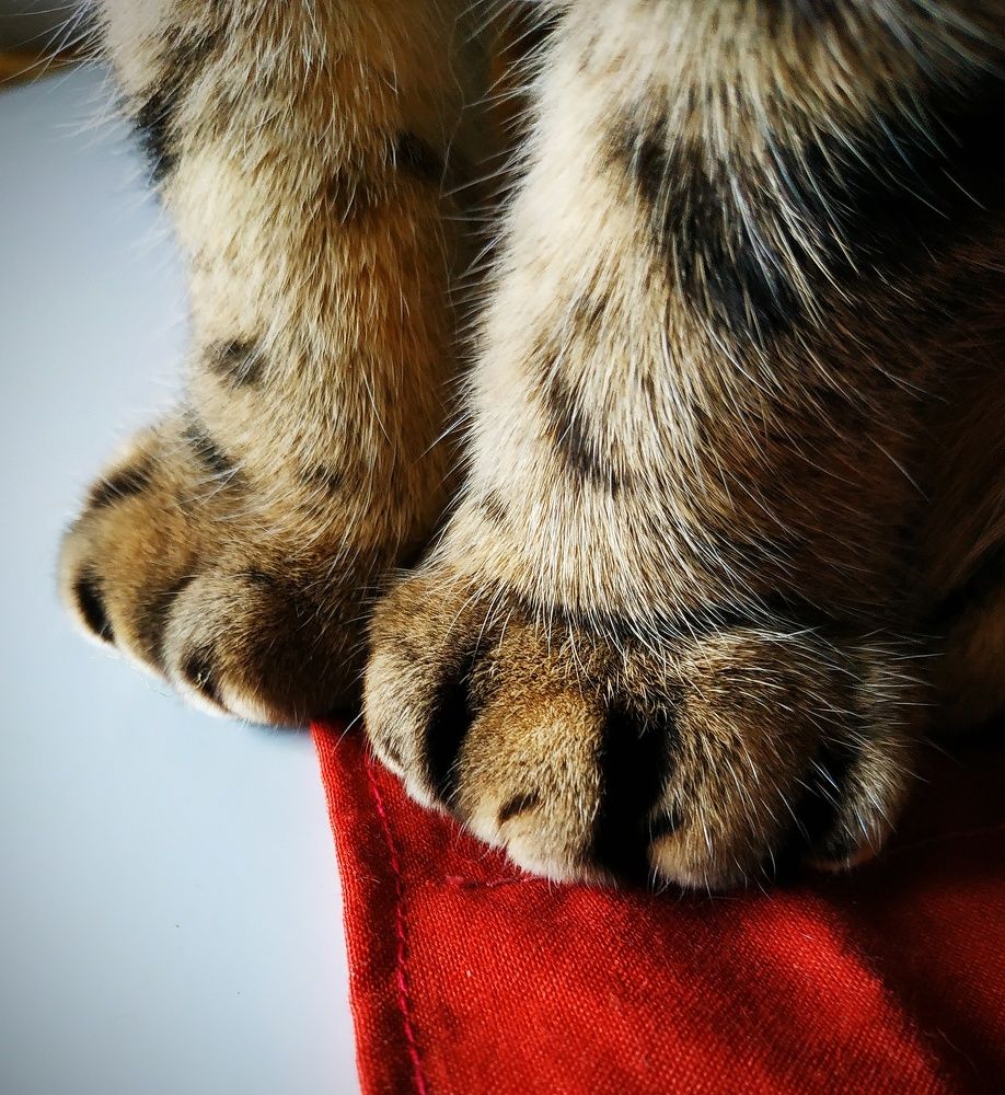 Photograph by Сергей