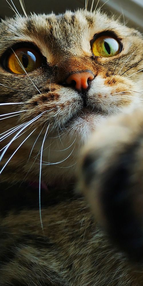 Photograph by Сергей