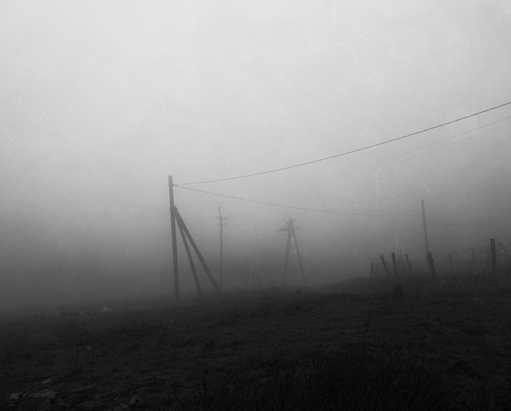 Photograph by Анатолий Щербак