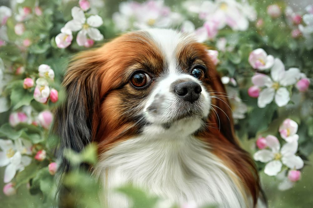 Photograph by Соловьёва Елена