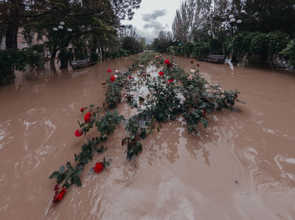 Photograph by Анатолий Щербак