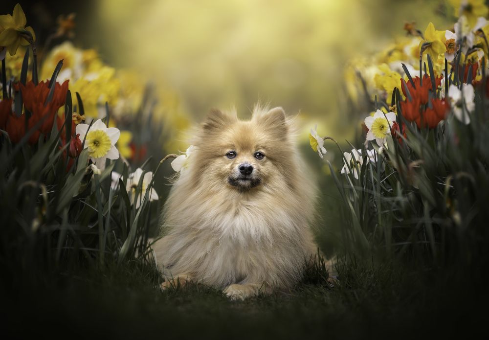 Photograph by Deise de Oliveira