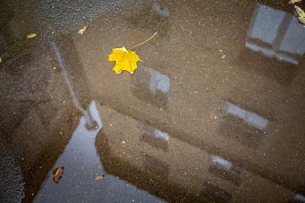 Photograph by Балакин Евгений