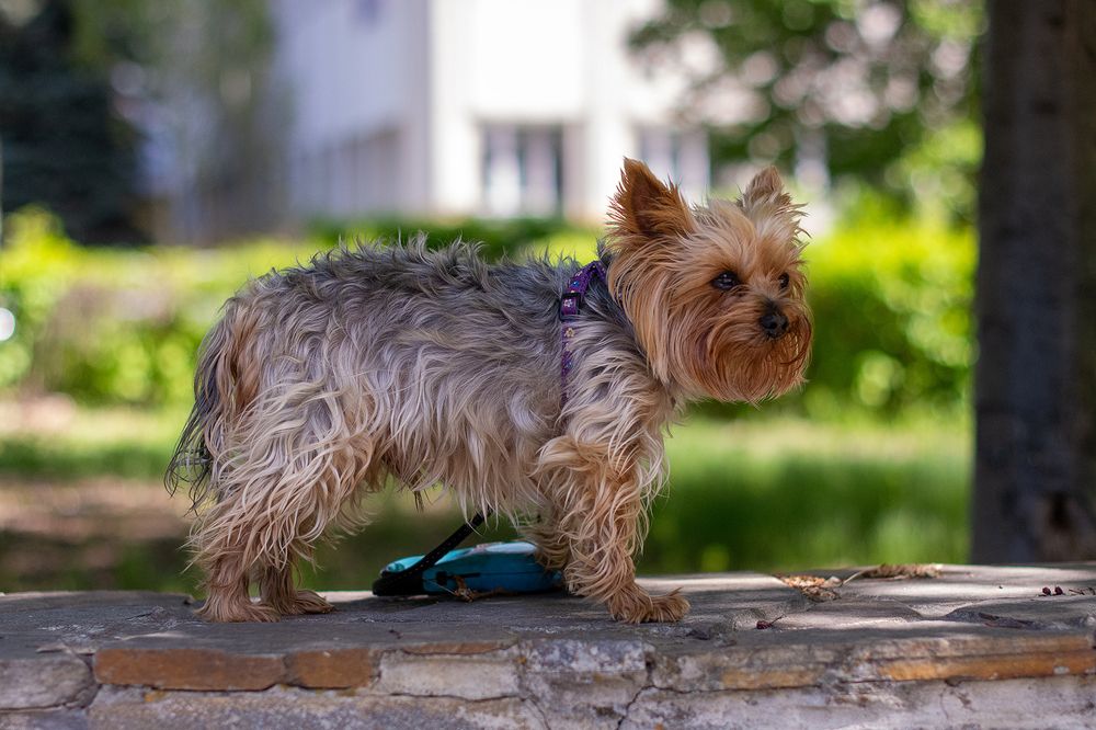 На прогулке