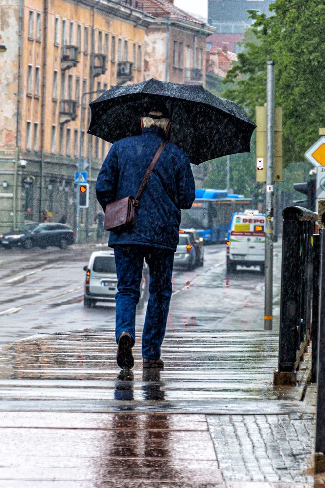 Photograph by Леонид Соболев