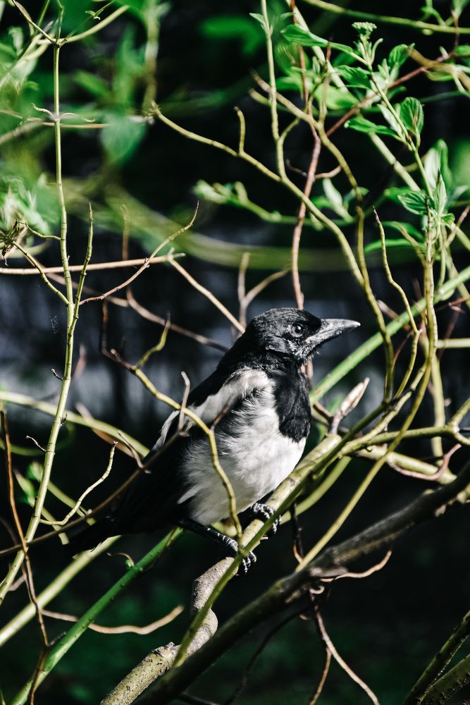 Photograph by Королева Екатерина