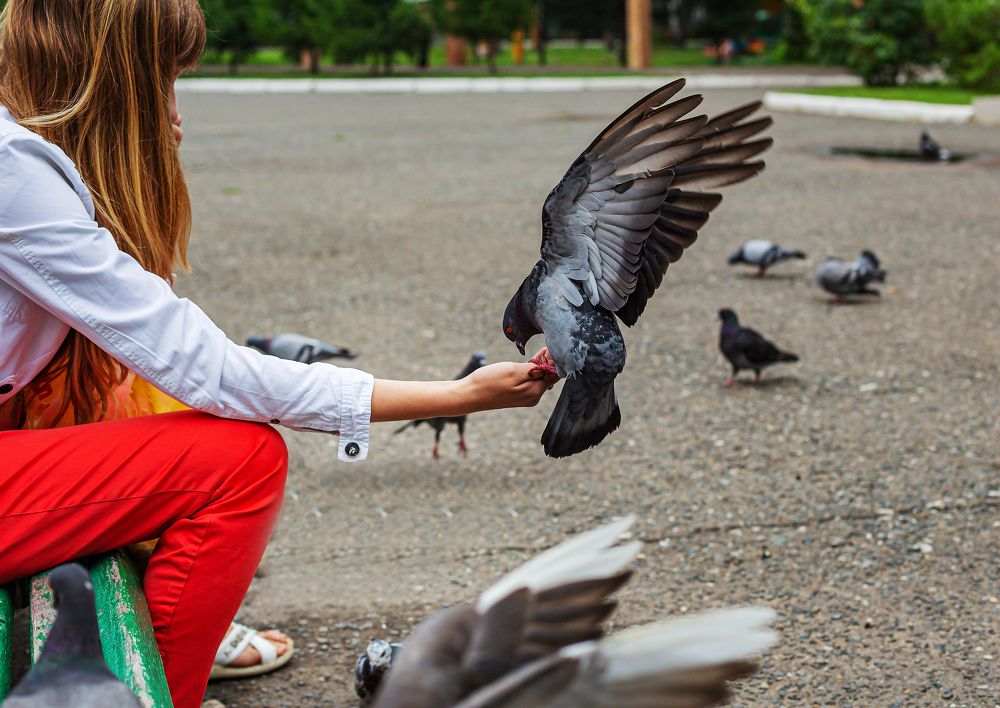 Photograph by Иван Логвинов