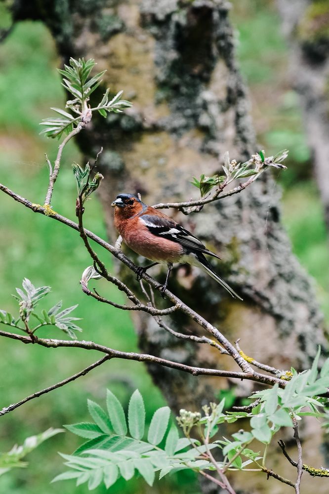 Photograph by Королева Екатерина