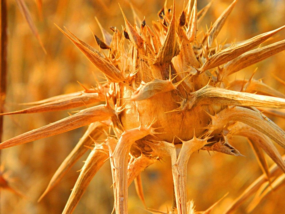 Photograph by Сергей Рапопорт