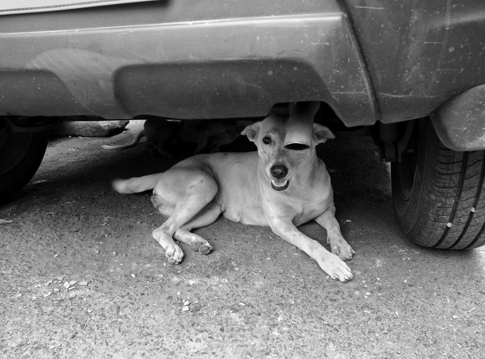 Photograph by Arpan Biswas