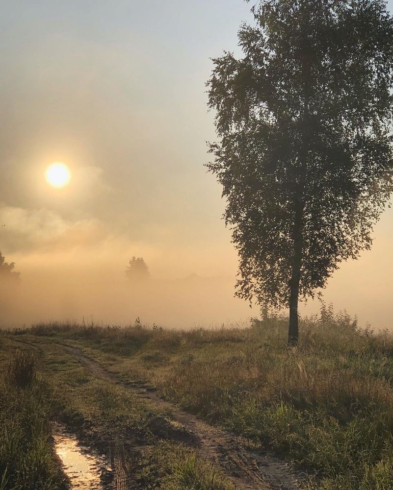 Photograph by Лариса Акинчиц