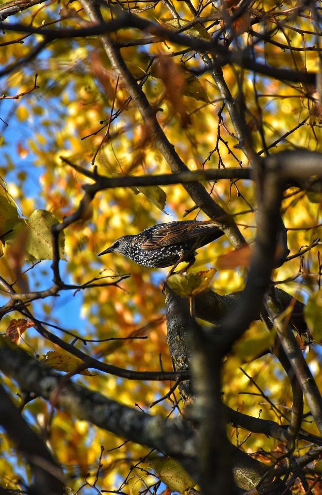 Photograph by Королева Екатерина