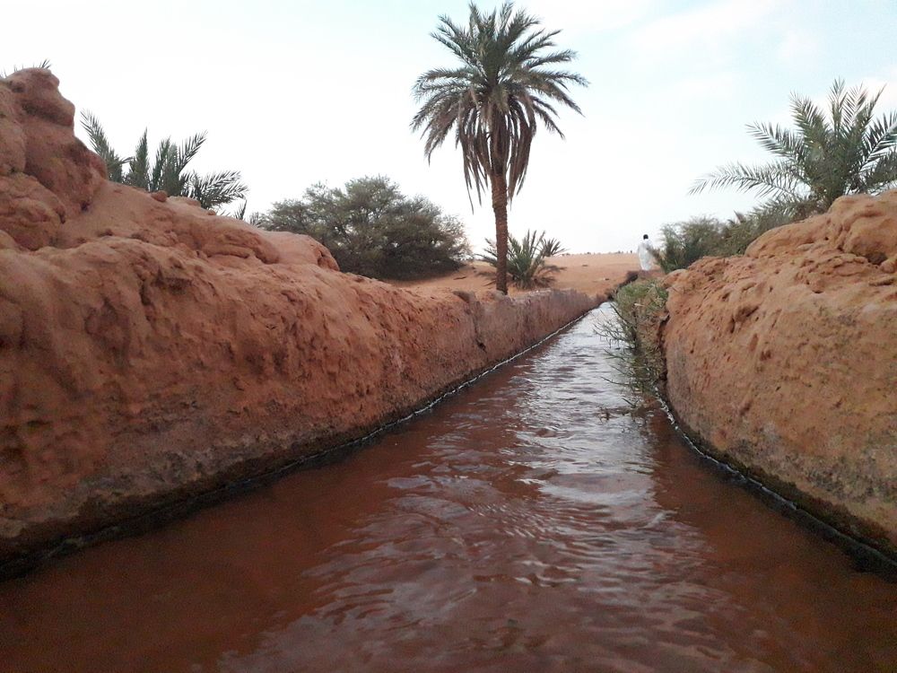 Photo #7608054