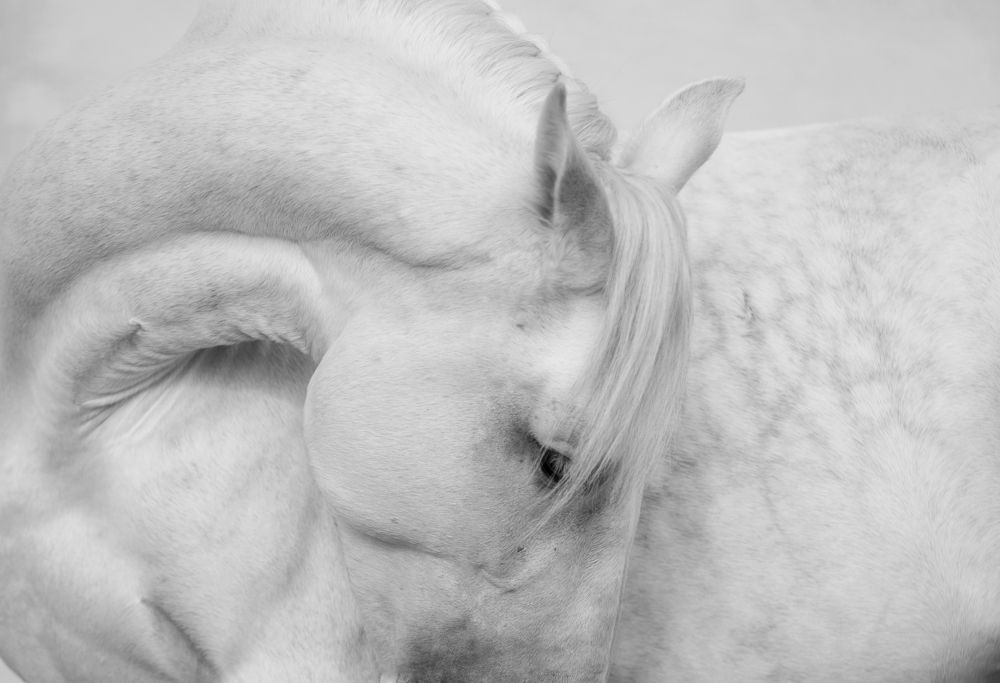 Photograph by Татьяна Немова