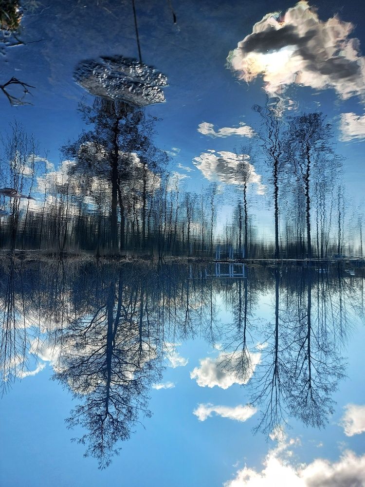 Photograph by Королева Екатерина