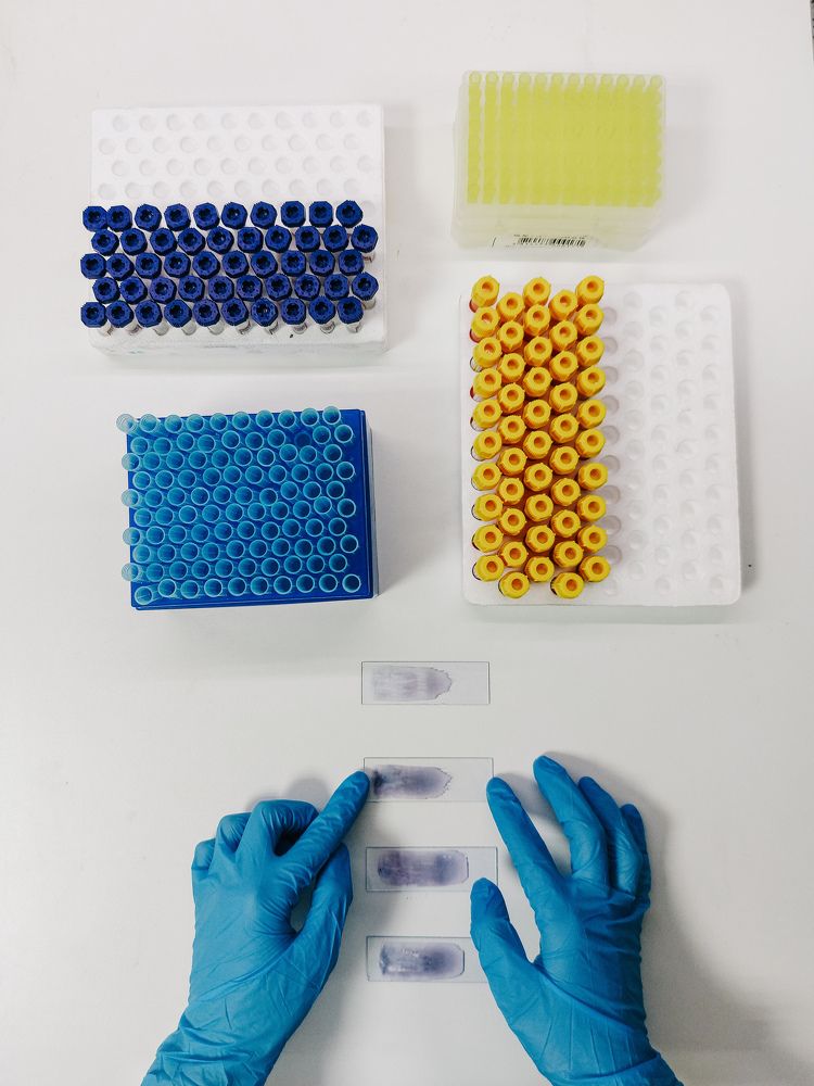 Photograph by Королева Екатерина