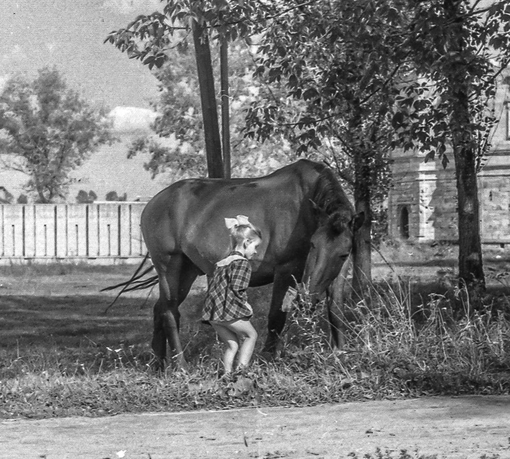 Photograph by Vladimir  Komarov
