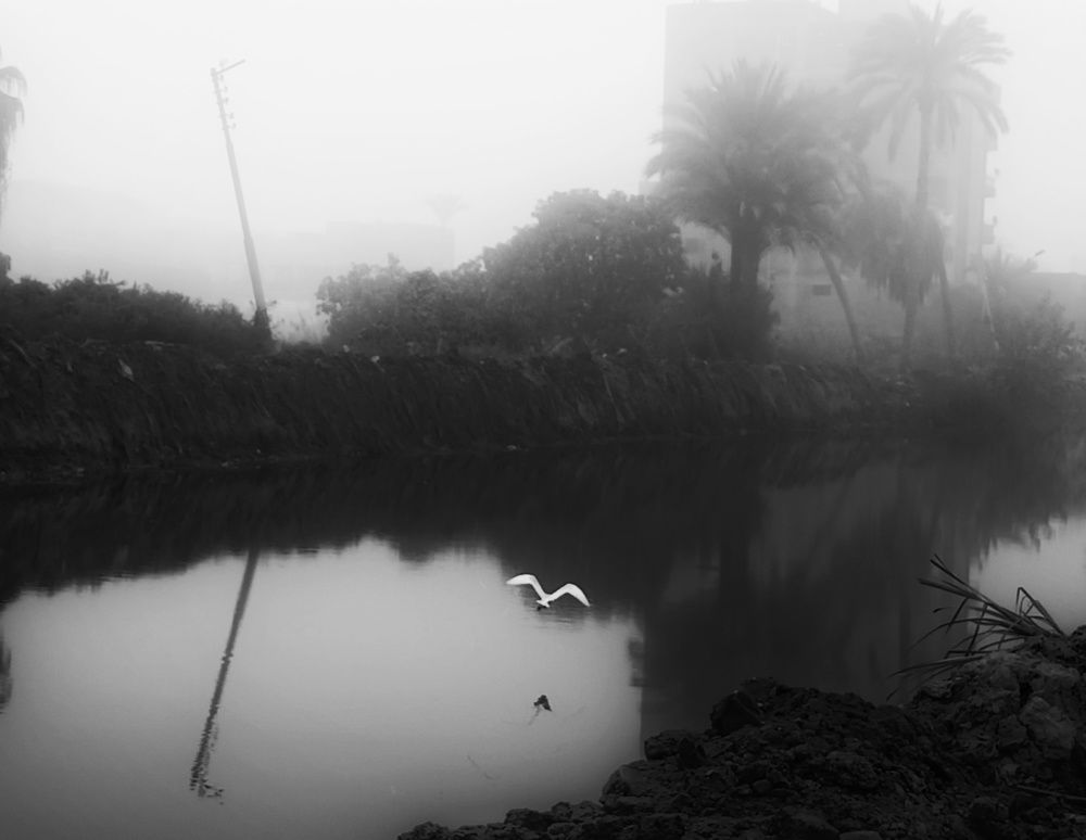 Photo #7608103