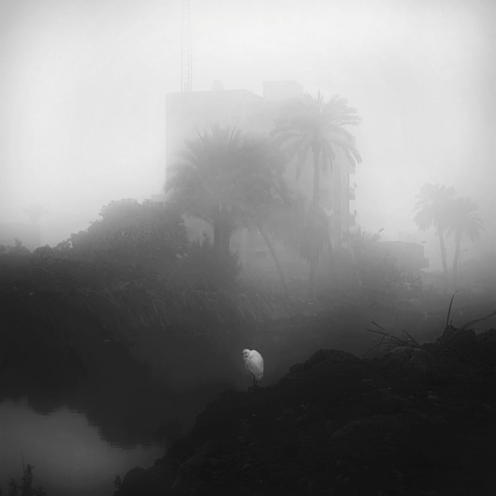 Photograph by Omar Elkasery