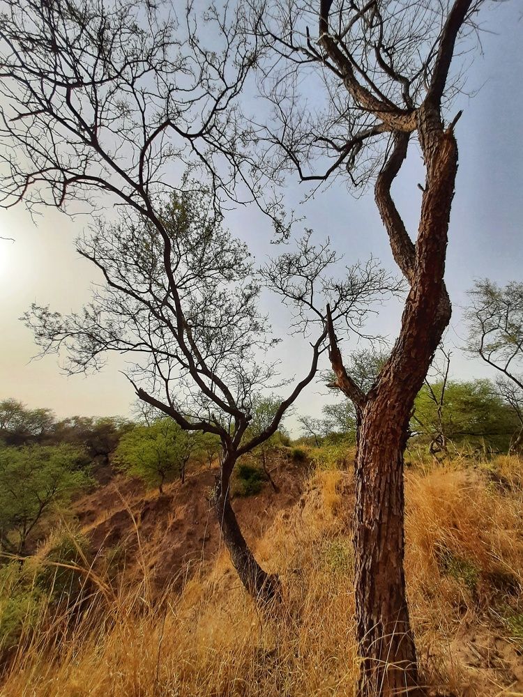 Photograph by Utkarsh Chauhan