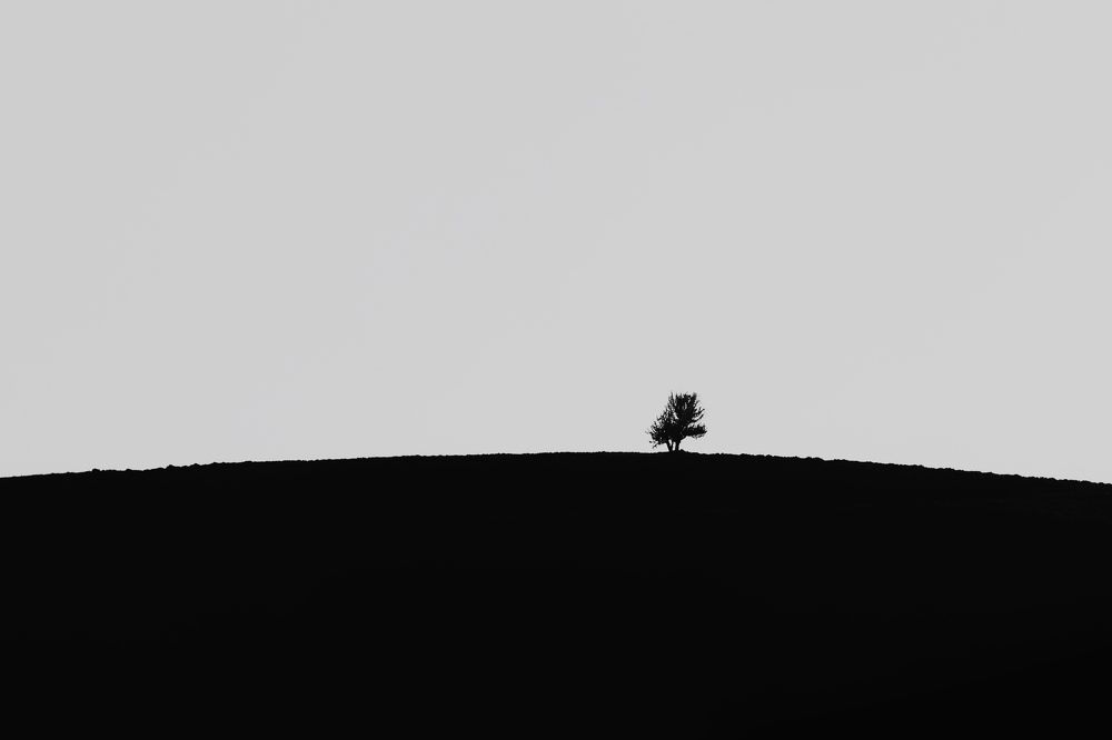 Photograph by Keyvan Hosine pour