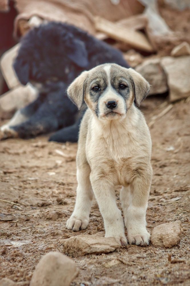 Photograph by Keyvan Hosine pour