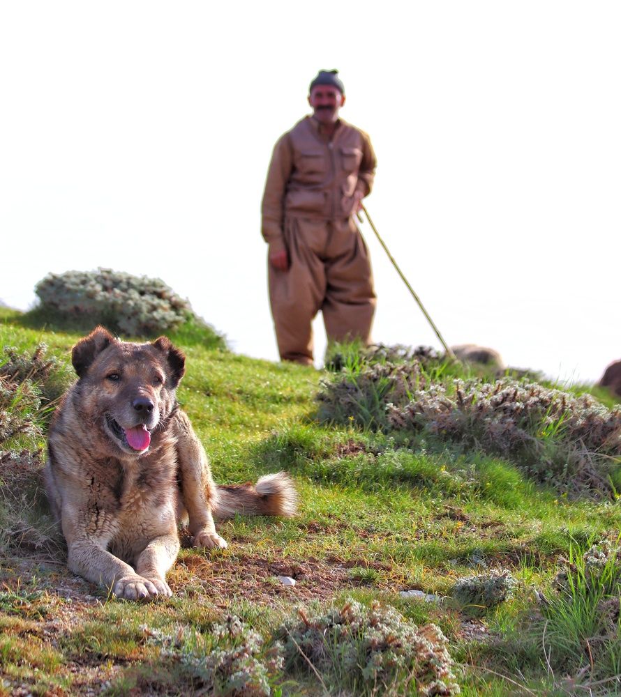 Photograph by Keyvan Hosine pour