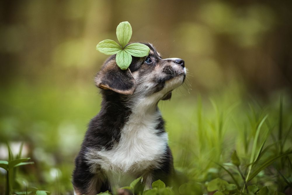 Photograph by Алексей Соколов