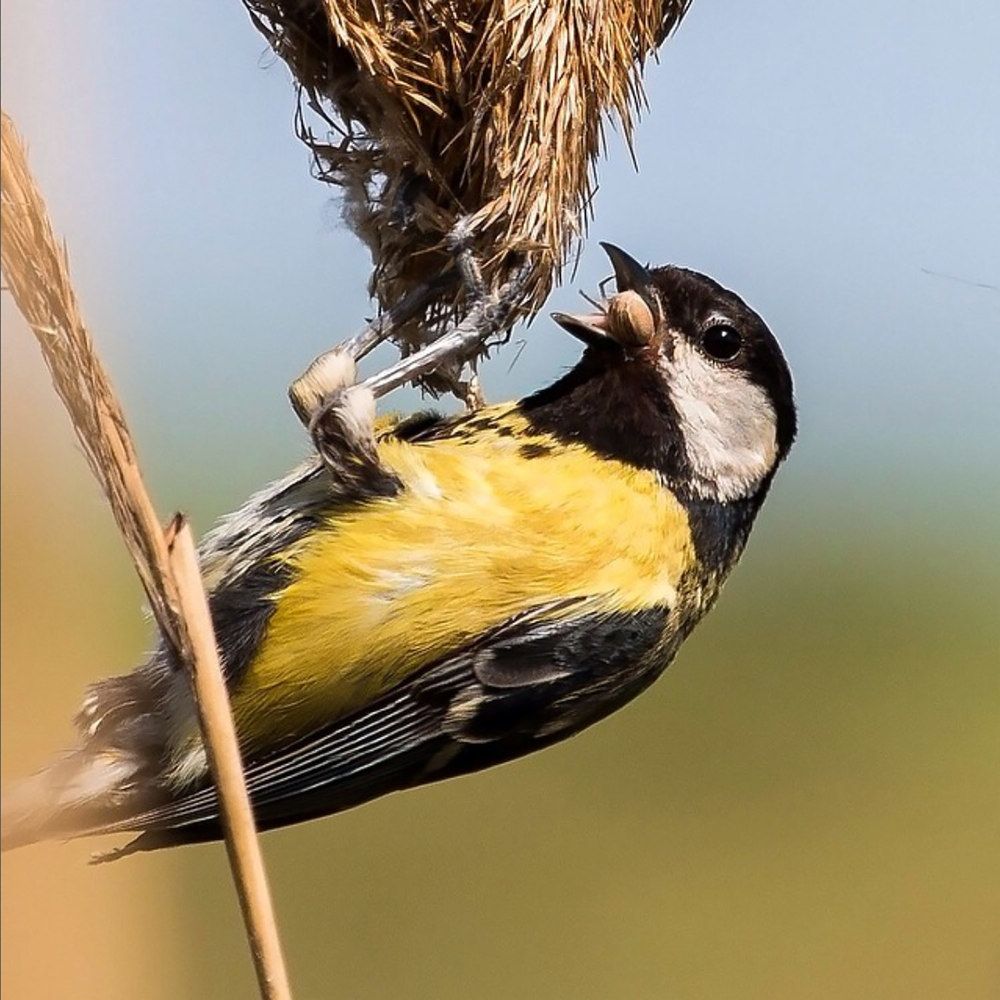 Photograph by Zzooouhh