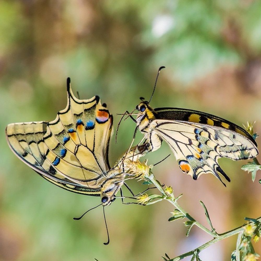 Photograph by Zzooouhh