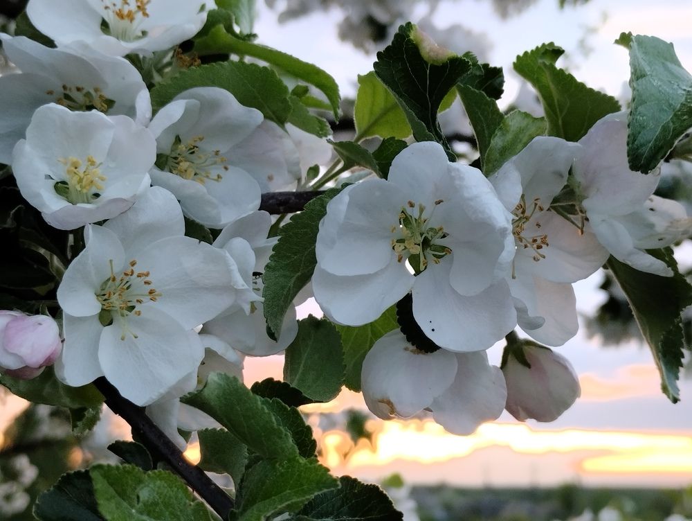 Photograph by Екатерина Супраненок