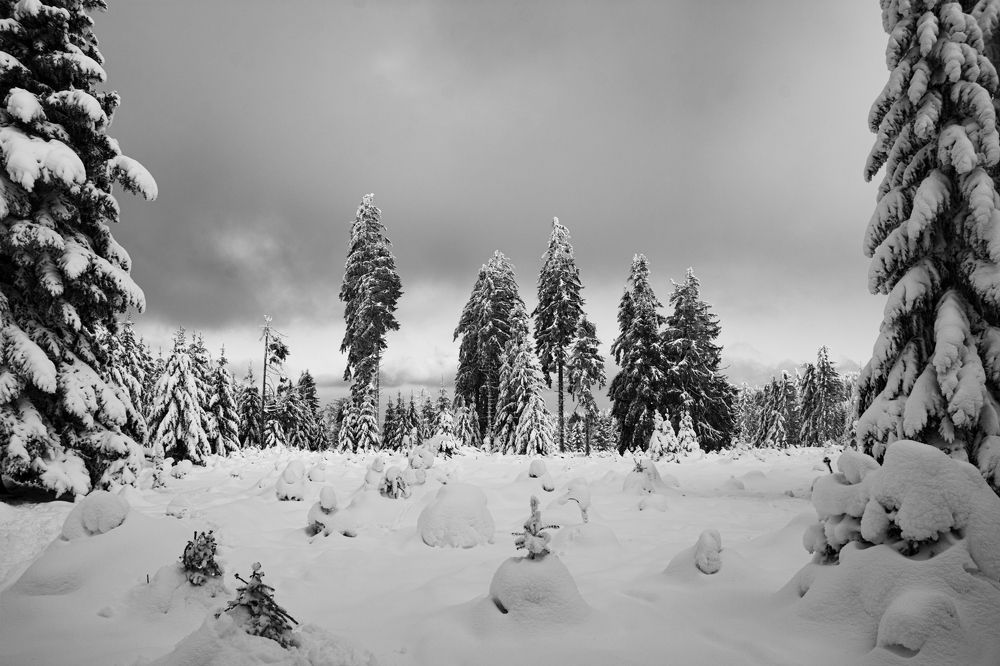 Photograph by Lionel Thenadey