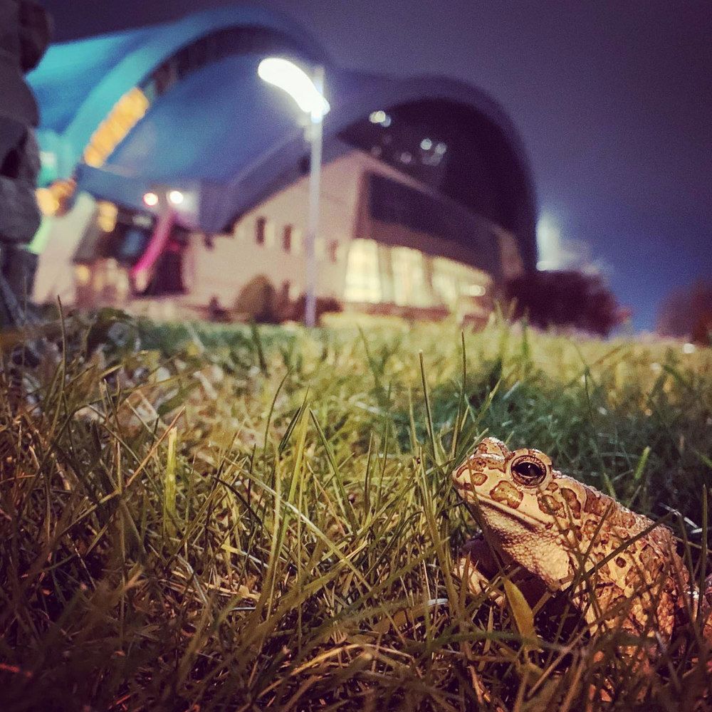 Photograph by Zzooouhh