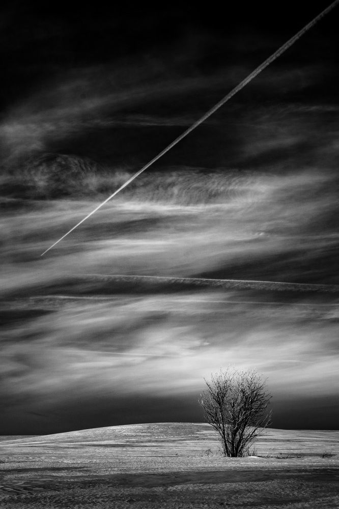 Фотография автора алекс