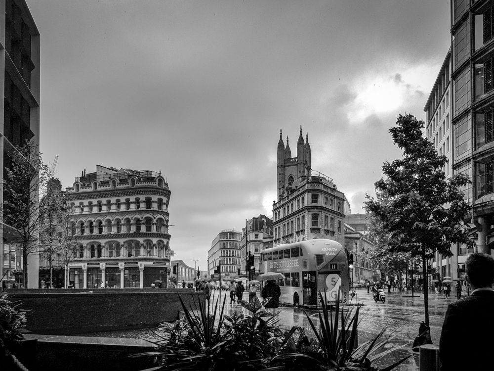 Photograph by Наталья Доброквашина