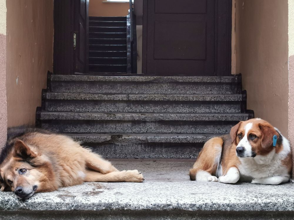 Photograph by Наталия Питолина