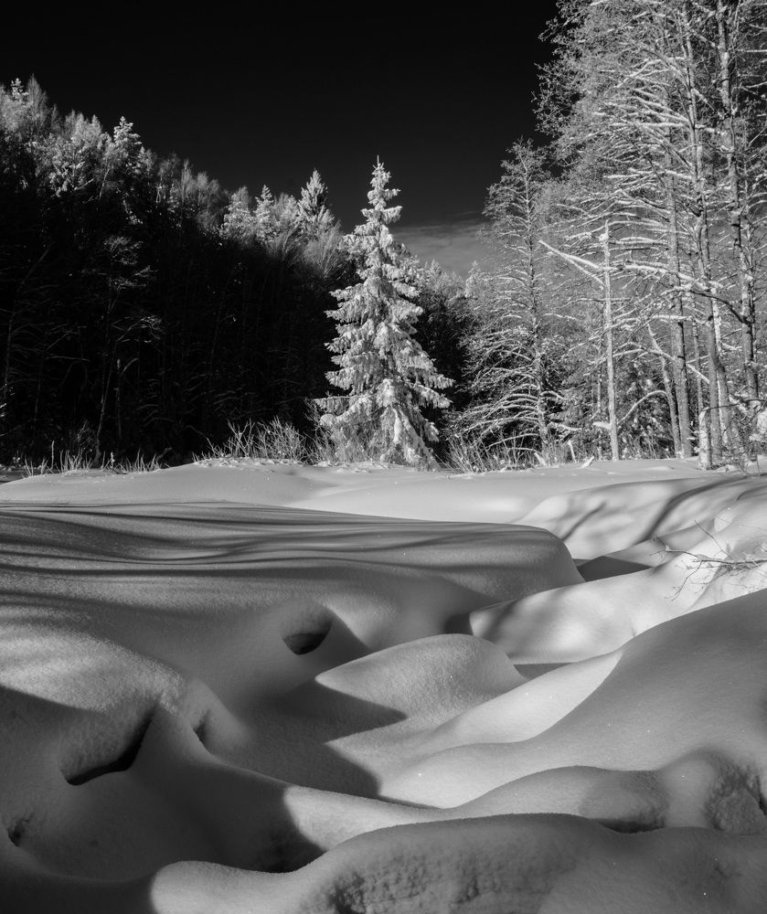 Фотография автора алекс