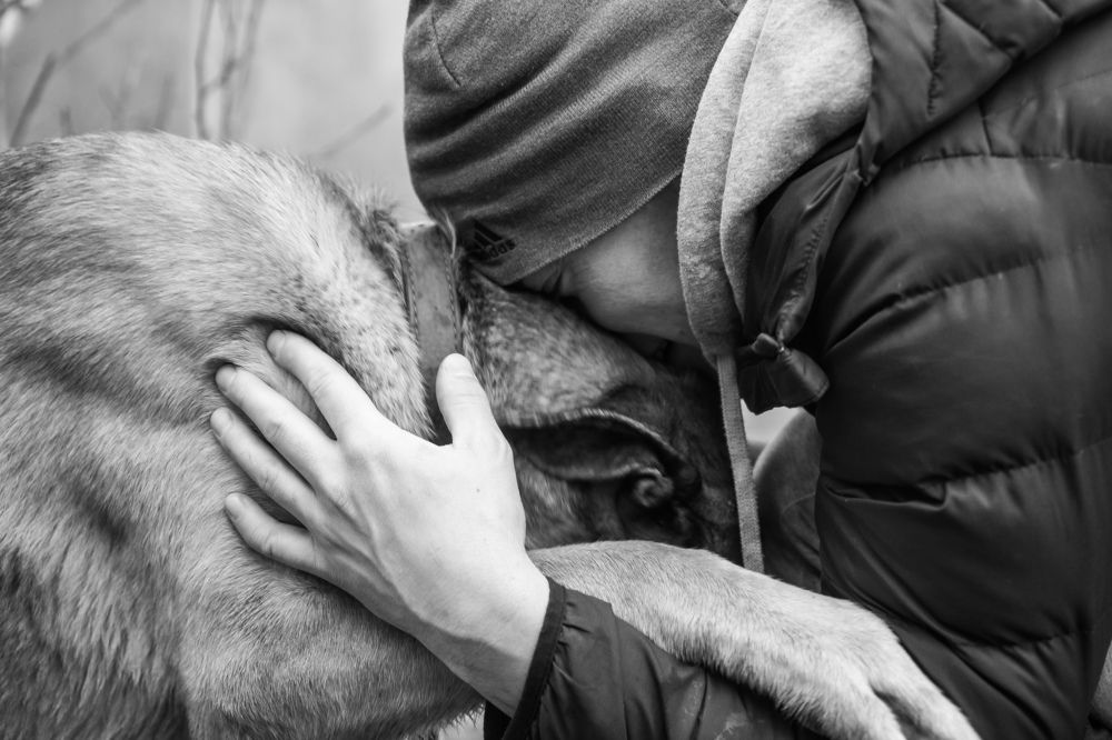 Photograph by Елизавета Фирстова