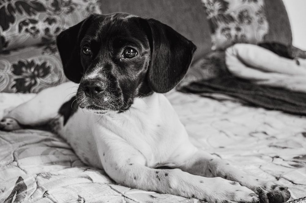 Photograph by Елена Квасова