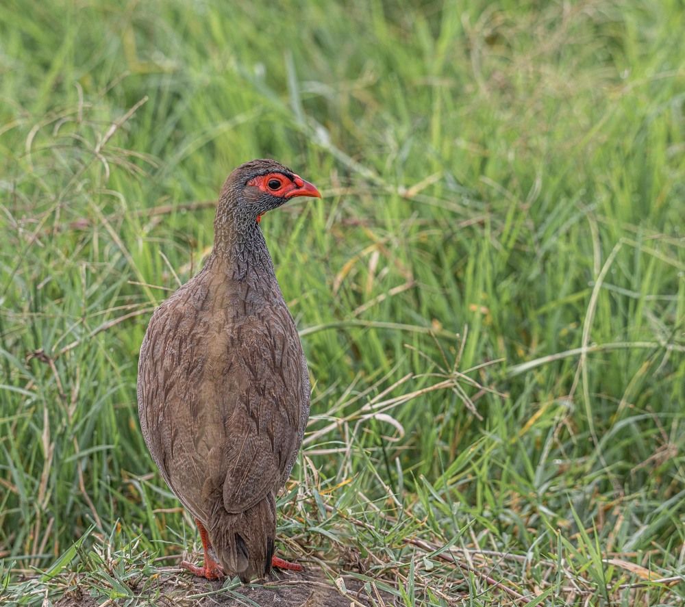 Photograph by Илья Поляк