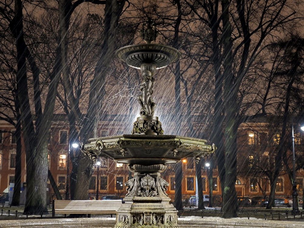 Дождь в Румянцевском саду...