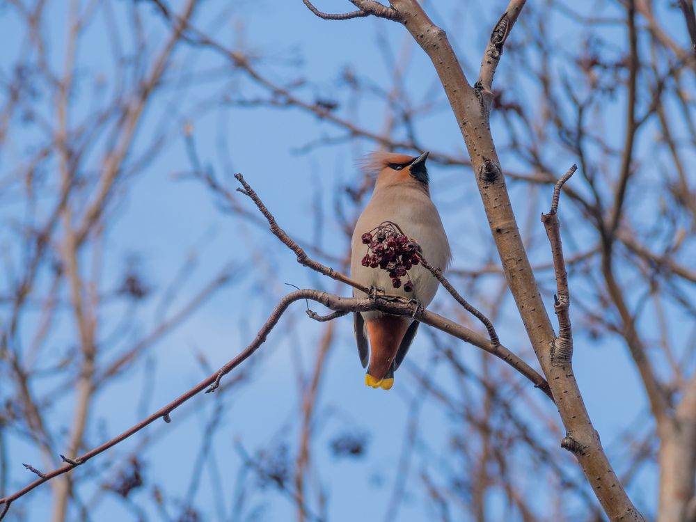 Photograph by Анна Шейко