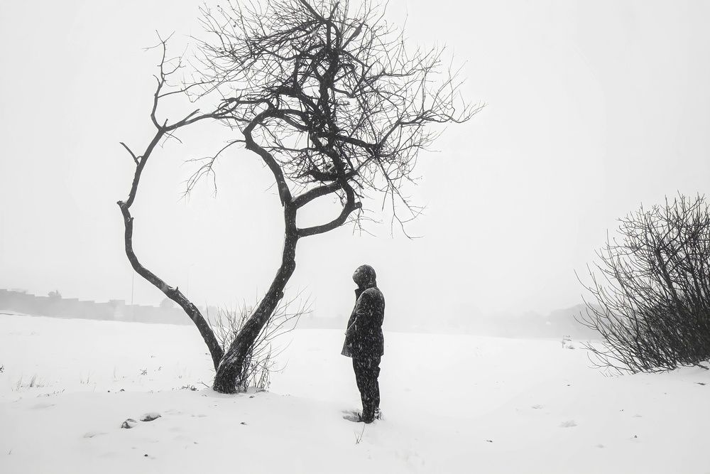 Фотография автора Omer Erdogan